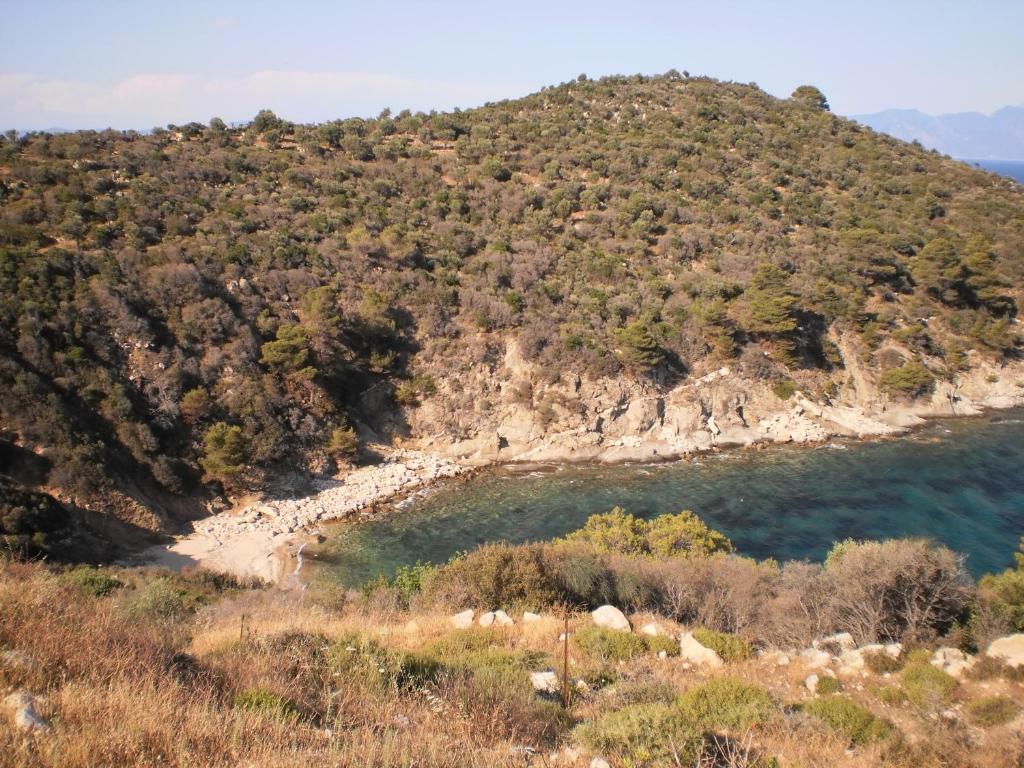 Vergina Pension Сарти Экстерьер фото